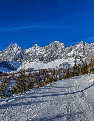 Ski trail to Brandalm | René Eduard Perhab | © Erlebnisregion Schladming-Dachstein