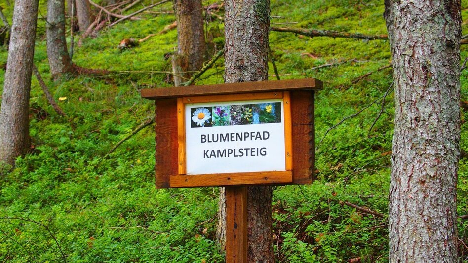 Hiking Route Kamplsteig at Grüner See - Touren-Impression #2.6 | © FVV  Tragöß - St. Katharein
