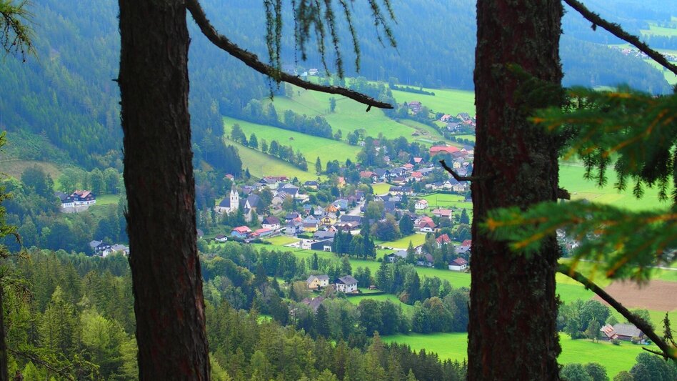 Hiking Route Kamplsteig at Grüner See - Touren-Impression #2.9 | © FVV  Tragöß - St. Katharein