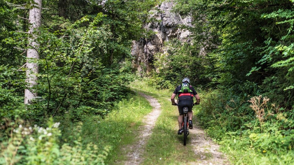 Mountainbike MTB - Tour 66b - Tobiasalm - Touren-Impression #2.1 | © Erlebnisregion Murtal