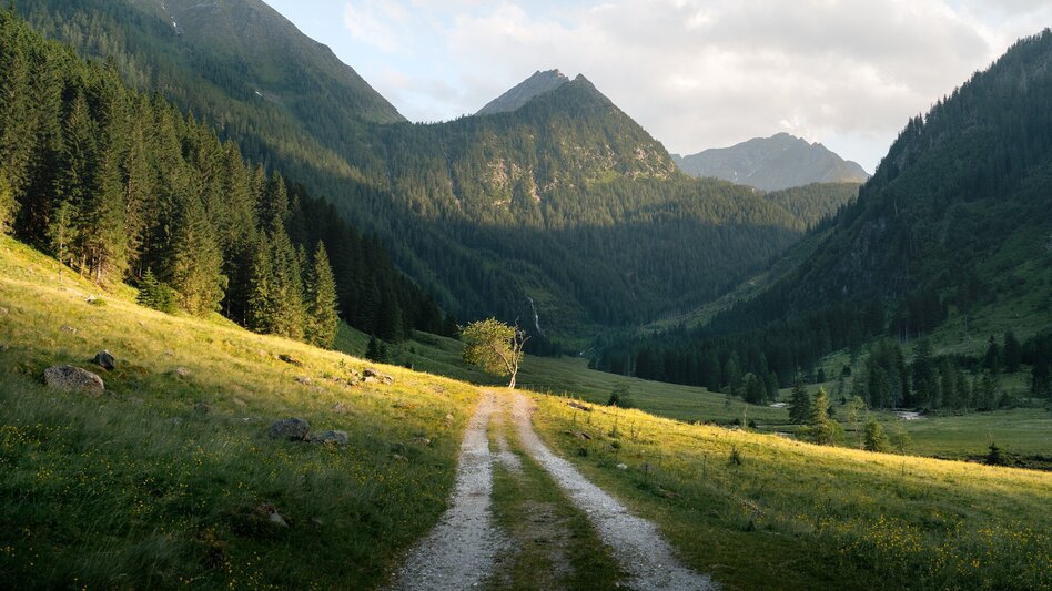 Hiking Route Via the Bräualm to the Hohensee lake - Touren-Impression #2.6 | © Tourismusverband Schladming-Dachstein