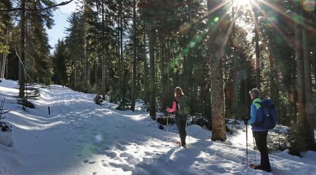 Wanderung zum Teufelstein mit Schneeschuhen | © Oststeiermark Tourismus | WEGES | © Oststeiermark Tourismus