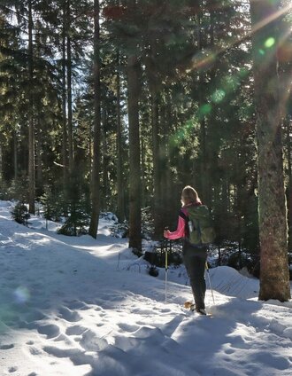 Wanderung zum Teufelstein mit Schneeschuhen | WEGES | © Oststeiermark Tourismus