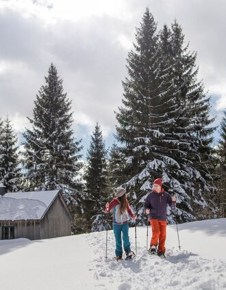 Schneeschuhwanderung auf der Tauplitzalm | Michael Grössinger | © Tourismusverband Ausseerland Salzkammergut