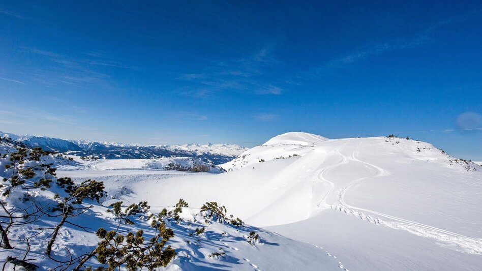 Schneeschuhwandern Schneeschuhwanderung am Lawinenstein - Touren-Impression #2.1 | © Tourismusverband Ausseerland Salzkammergut