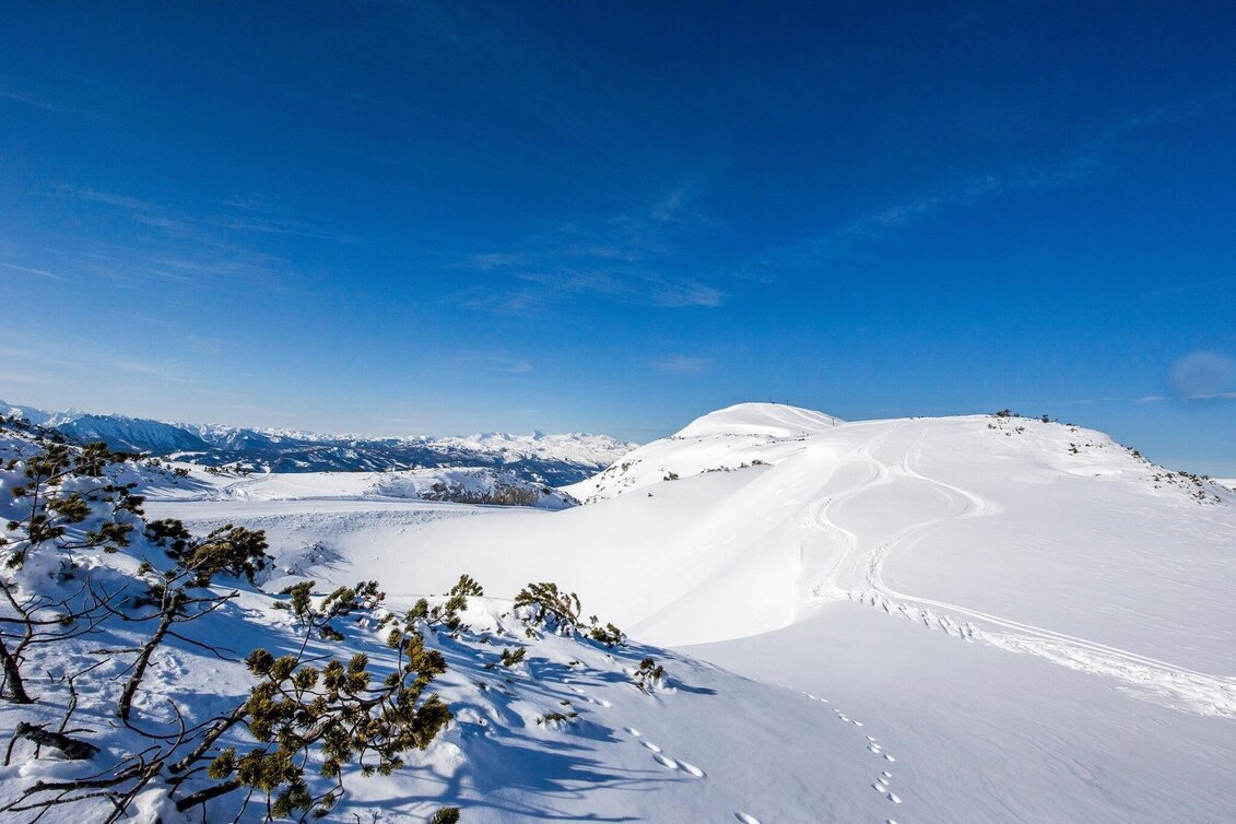 Schneeschuhwandern Schneeschuhwanderung am Lawinenstein - Touren-Impression #1 | © Tourismusverband Ausseerland Salzkammergut