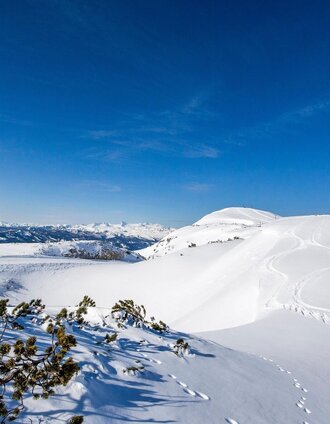 Lawinenstein im Winter | Tom Lamm | © Tourismusverband Ausseerland Salzkammergut