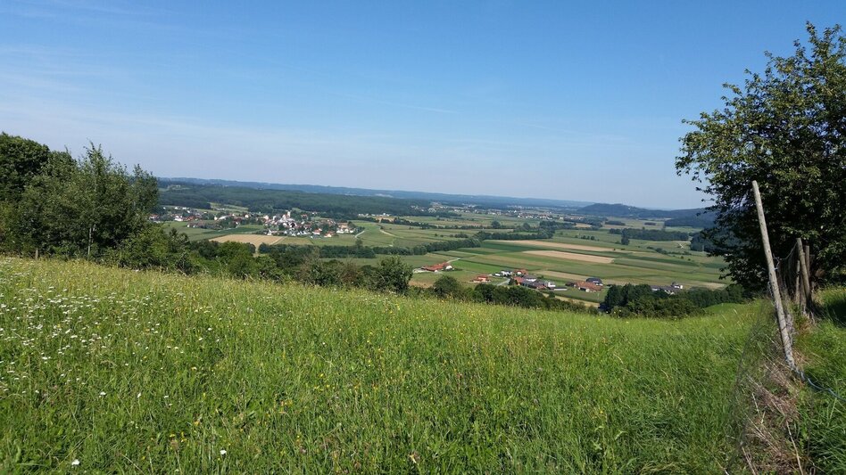 Wanderung Rittscheintour Söchau - Touren-Impression #2.1 | © Werner Steinberger