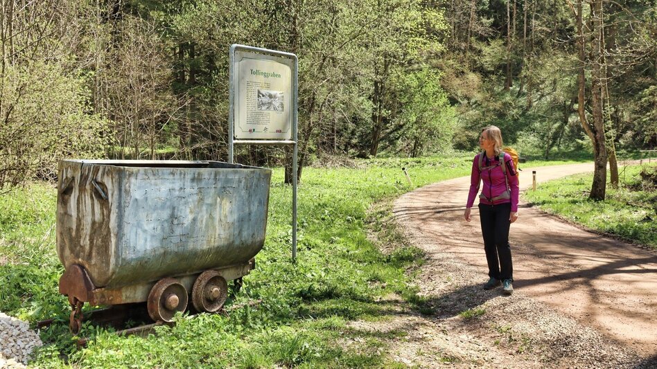 Hiking Route  9. Etappe  Styrian Iron Trail - St.Peter-Freienstein - Niklasdorf - Touren-Impression #2.8 | © Tourismusverband ERZBERG LEOBEN