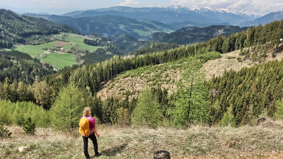Hiking Route  9. Etappe  Styrian Iron Trail - St.Peter-Freienstein - Niklasdorf - Touren-Impression #2.10 | © Tourismusverband ERZBERG LEOBEN