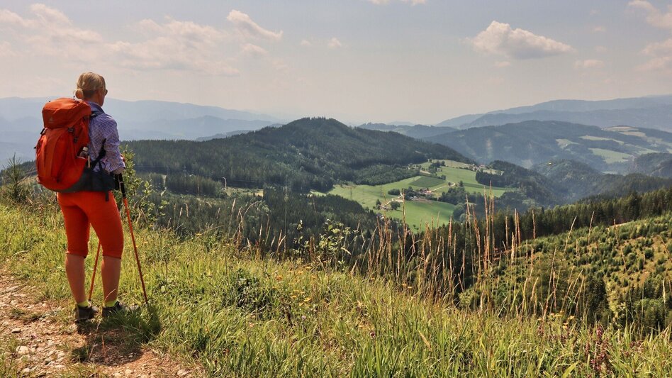 Hiking Route  9. Etappe  Styrian Iron Trail - St.Peter-Freienstein - Niklasdorf - Touren-Impression #2.18 | © Weges OG