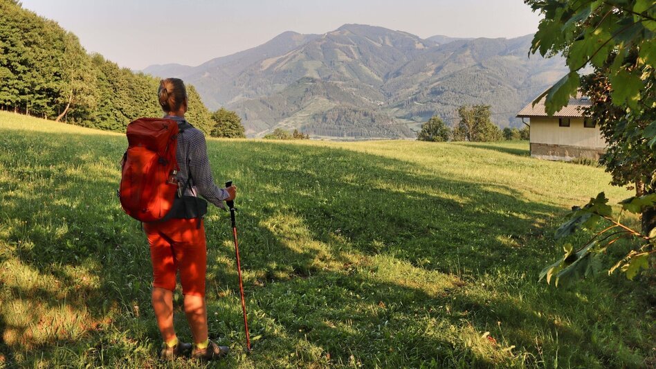 Hiking Route  9. Etappe  Styrian Iron Trail - St.Peter-Freienstein - Niklasdorf - Touren-Impression #2.21 | © Weges OG