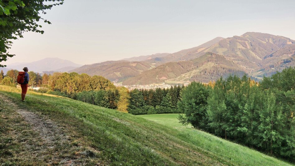 Hiking Route  9. Etappe  Styrian Iron Trail - St.Peter-Freienstein - Niklasdorf - Touren-Impression #2.24 | © Weges OG