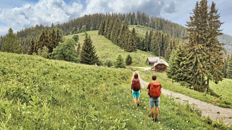 Hiking Route 10. Etappe Styrian  Iron Trail - Niklasdorf - Leoben - Touren-Impression #2.10 | © Weges OG