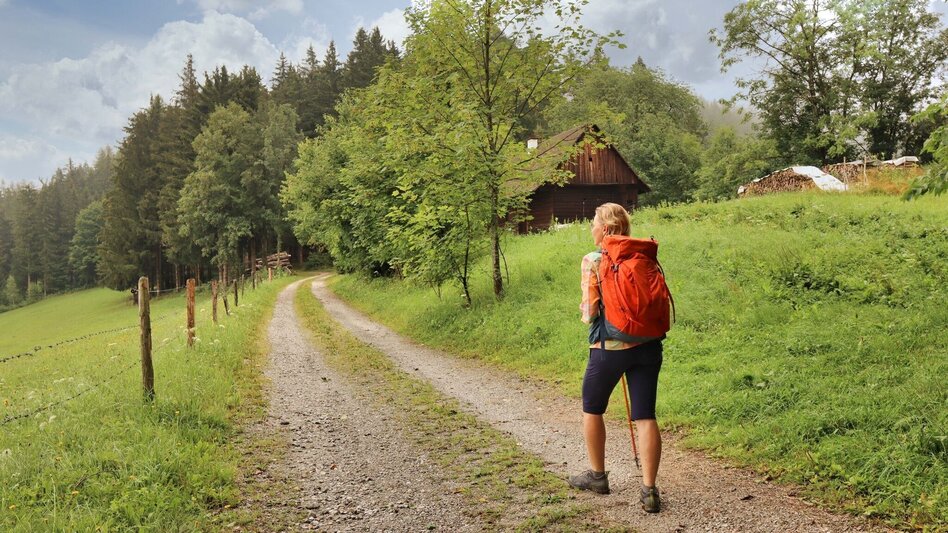 Hiking Route 10. Etappe Styrian  Iron Trail - Niklasdorf - Leoben - Touren-Impression #2.5 | © Weges OG