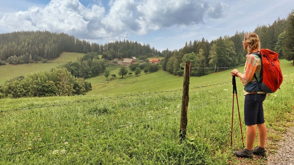 Hiking Route 10. Etappe Styrian  Iron Trail - Niklasdorf - Leoben - Touren-Impression #2.7 | © Weges OG