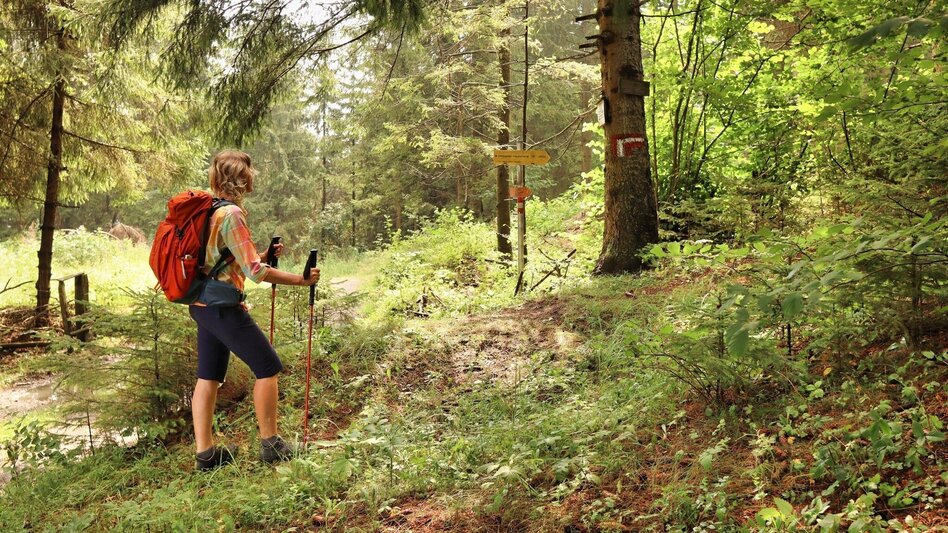Hiking Route 10. Etappe Styrian  Iron Trail - Niklasdorf - Leoben - Touren-Impression #2.6 | © Weges OG