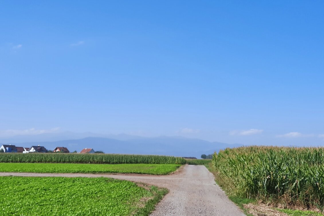 Cycling Biketour Zeltweg-Kleinfeistritz - Touren-Impression #1 | © WEGES OG