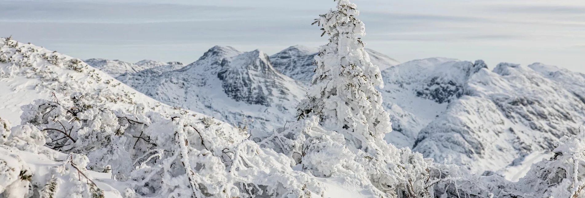 Schneeschuh Schneeschuhwanderung über die Tauplitzalm auf den Roßkogel - Touren-Impression #1 | © TVB Ausseerland Salzkammergut