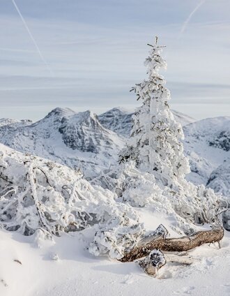 Winteridyll auf der Tauplitzalm im Ausseerland | Katrin Kerschbaumer | © Tourismusverband Ausseerland Salzkammergut