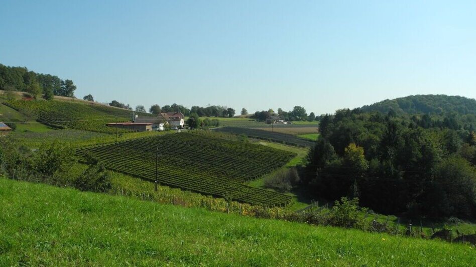 Wanderung Kräuterwanderweg - Touren-Impression #2.4 | © Gemeinde Edelsbach