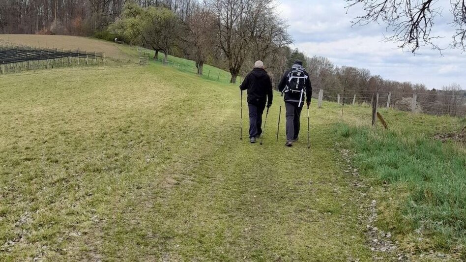 Wanderung Kräuterwanderweg - Touren-Impression #2.6 | © Gemeinde Edelsbach