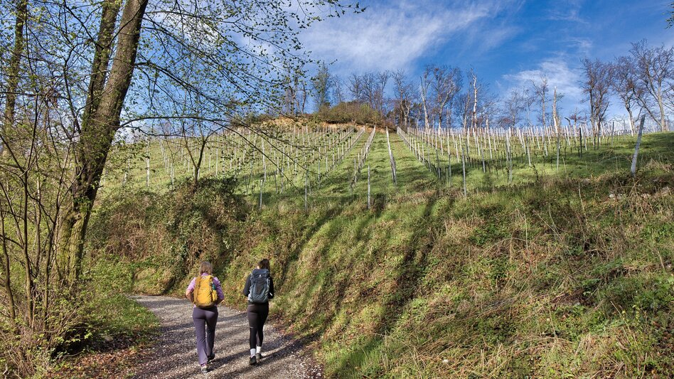 Wanderung Von der Burgruine Gösting zum Thalersee - Touren-Impression #2.3 | © Region Graz