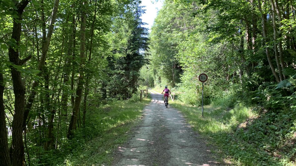Radfahren Feistritztalradweg R8, nördlicher Abschnitt - Touren-Impression #2.1 | © Oststeiermark Tourismus