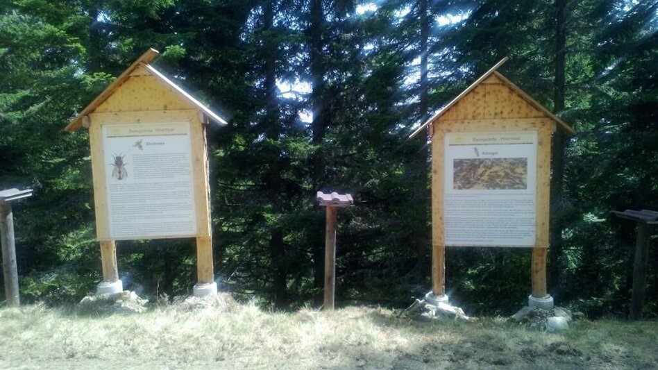 Wanderung Hochwechsel - Quellenweg, Waldbach-Mönichwald - Touren-Impression #2.1 | © Oststeiermark Tourismus