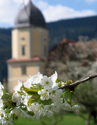 Abtei Seckau im Frühling | Team Erlebnisregion Murtal | © Erlebnisregion Murtal