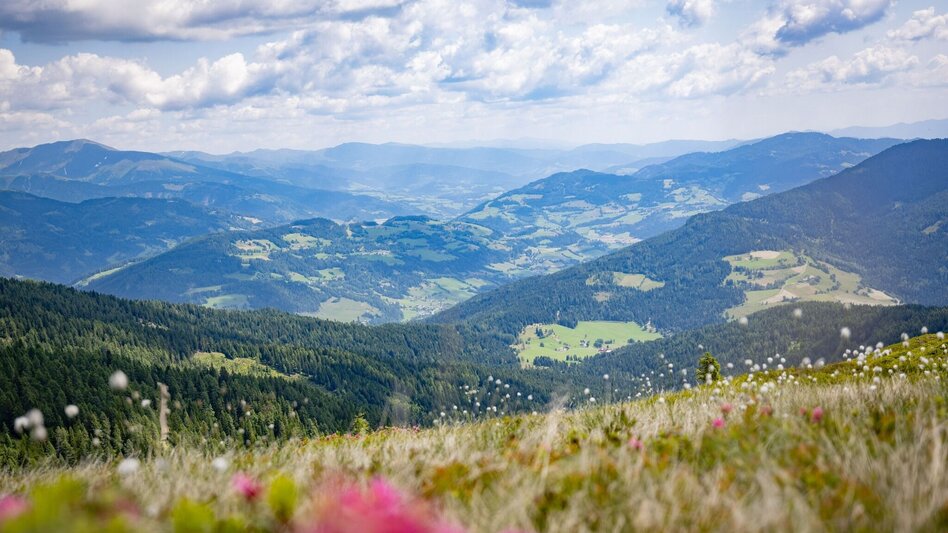 Bergtour Gstoder - Touren-Impression #2.5 | © Tourismusverband Murau