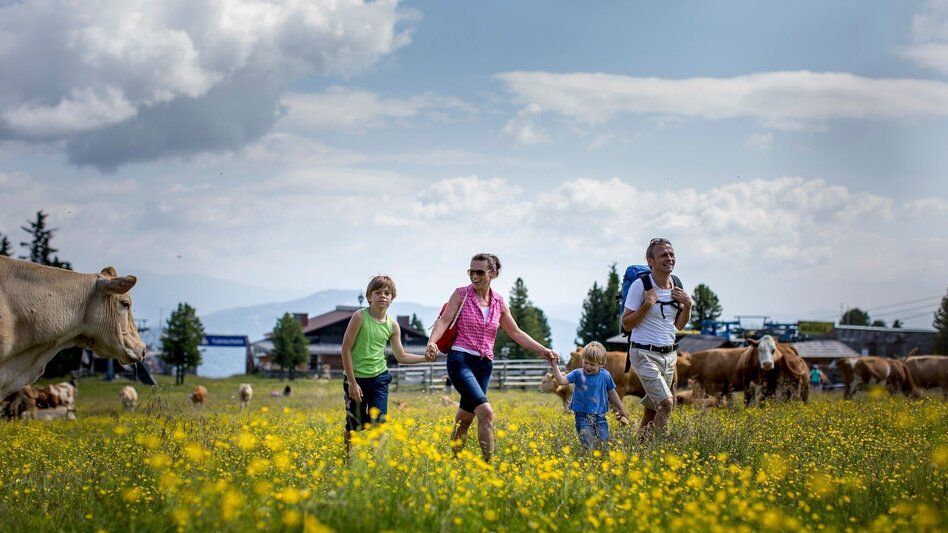 Hiking Route Kreischberg - Touren-Impression #2.2 | © Tourismusverband Murau