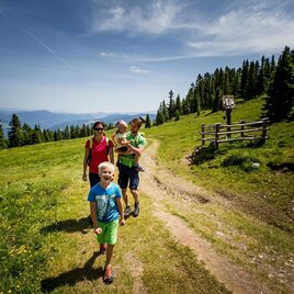Wandern auf der Frauenalpe | © Tourismusverband Murau