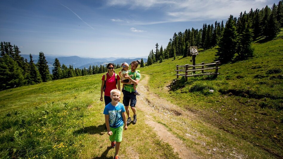 Wanderung Murau - Frauenalpe - Touren-Impression #2.1 | © Tourismusverband Murau