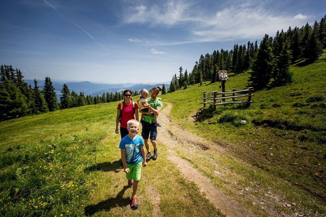 Wanderung Murau - Frauenalpe - Touren-Impression #1 | © Tourismusverband Murau