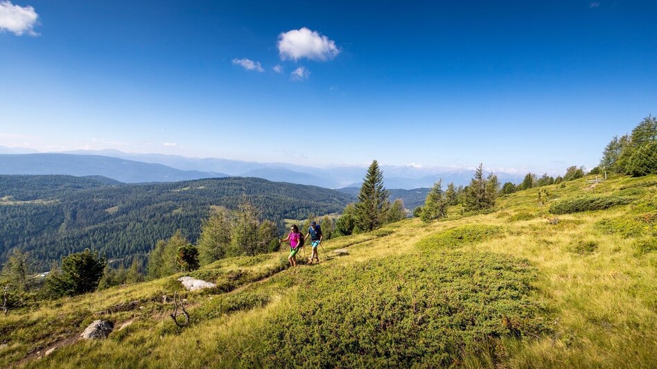 Hiking Route 8-summit hike: From Kreischberg  Frauenalpe - Touren-Impression #2.3 | © Tourismusverband Murau