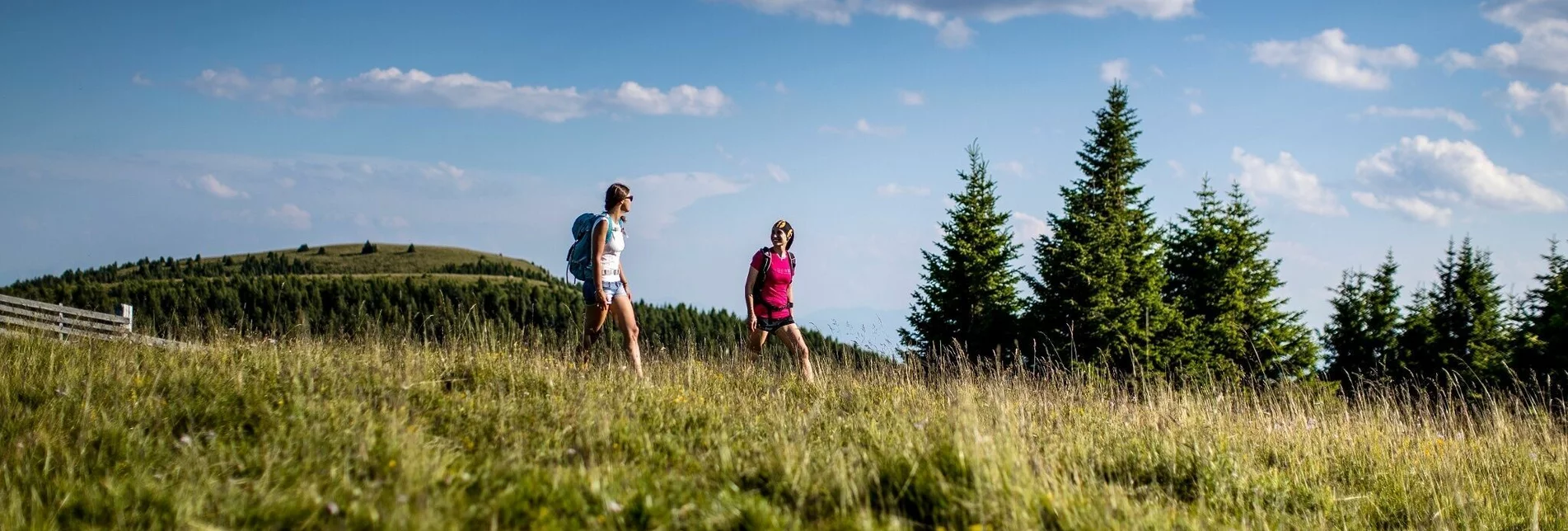 Hiking route 8-summit hike: From Frauenalpe to Kreischberg - Touren-Impression #1 | © Tourismusverband Region Murau
