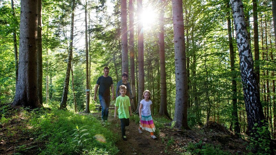 Wanderung Pisesweg Rundweg: Murau - St. Georgen/Kreischberg - Touren-Impression #2.3 | © Tourismusverband Murau