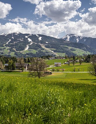 Landschaft am Leitenrundweg | Gerhard Pilz | © Gerhard Pilz