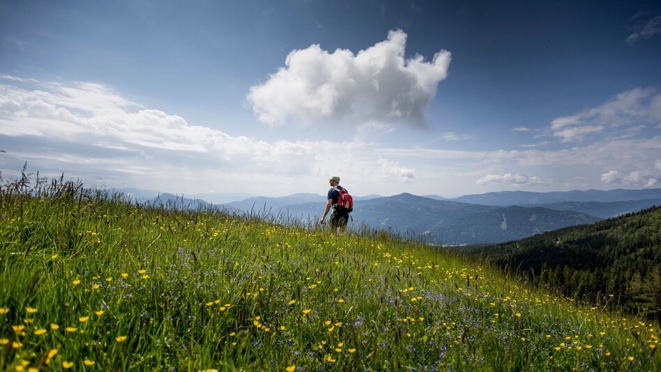 Hiking Route Dorfer Alm - Touren-Impression #2.1 | © Tourismusverband Murau
