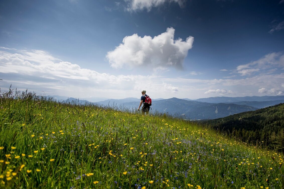 Hiking Route Dorfer Alm - Touren-Impression #1 | © Tourismusverband Murau