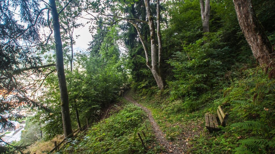 Wanderung Grubeggweg - Touren-Impression #2.3 | © Gerhard Pilz - www.gpic.at