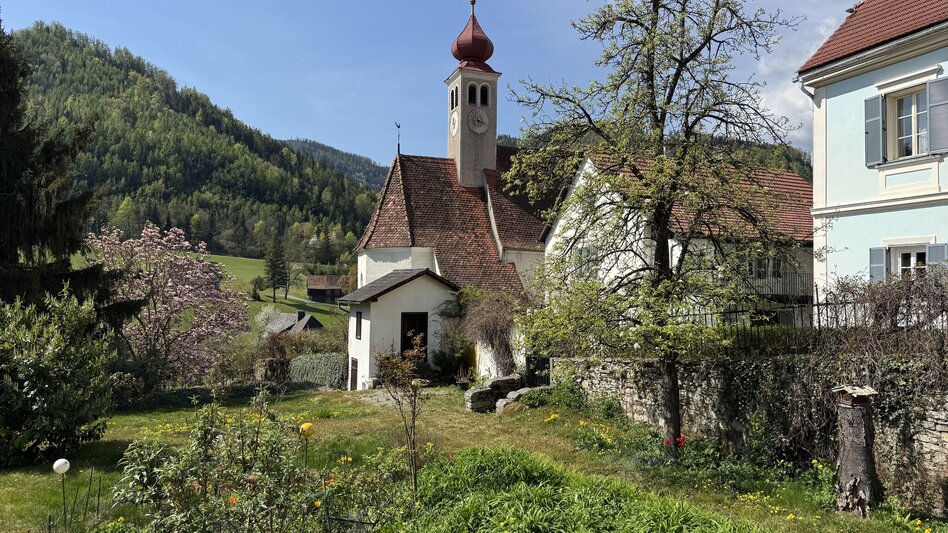 Wanderung Drei-Birken-Wanderung - Touren-Impression #2.2 | © draussenSEIN