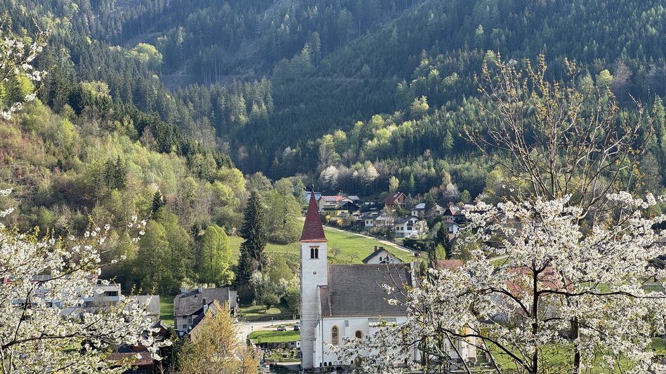 Wanderung Drei-Birken-Wanderung - Touren-Impression #2.3 | © draussenSEIN