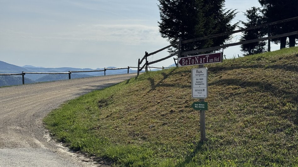 Wanderung Drei-Birken-Wanderung - Touren-Impression #2.4 | © draussenSEIN