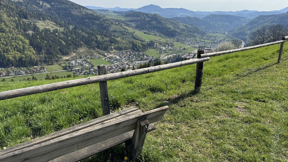 Wanderung Drei-Birken-Wanderung - Touren-Impression #2.5 | © draussenSEIN