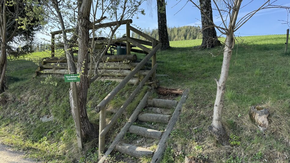 Wanderung Drei-Birken-Wanderung - Touren-Impression #2.7 | © draussenSEIN