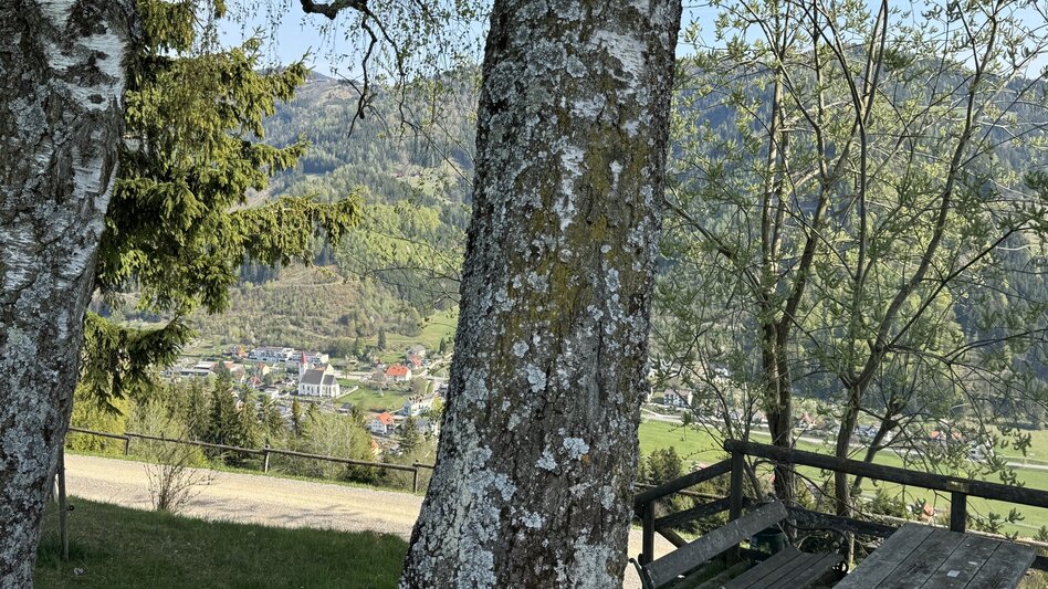 Wanderung Drei-Birken-Wanderung - Touren-Impression #2.8 | © draussenSEIN