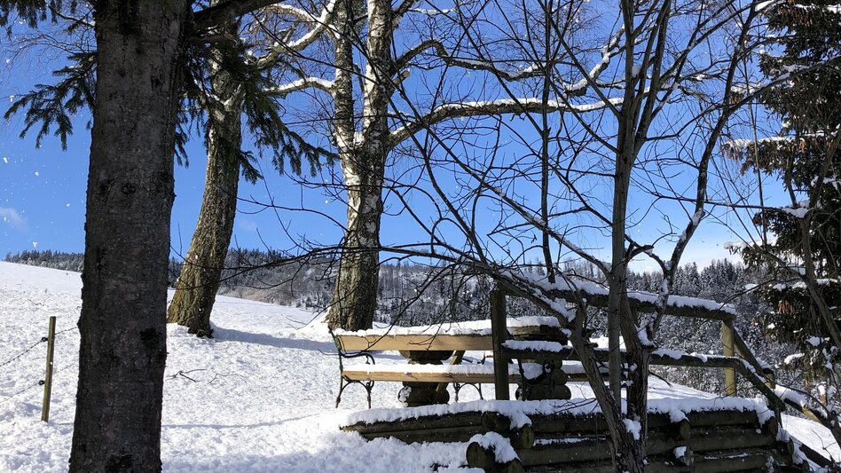 Wanderung Drei-Birken-Wanderung - Touren-Impression #2.9 | © draussenSEIN