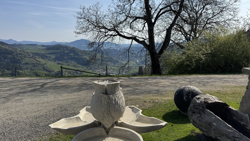 Wanderung Drei-Birken-Wanderung - Touren-Impression #2.10 | © draussenSEIN